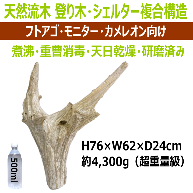 【特殊形状・超重量級】天然流木 登り木・シェルター複合構造(special004)|フトアゴ・モニター・カメレオン向け