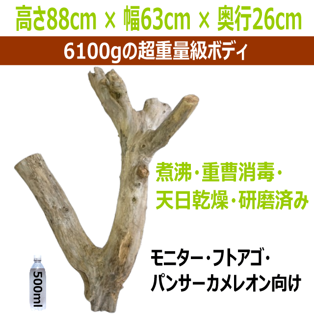 【特殊形状・超重量級】天然流木 登り木&くぐり抜け構造(special006)|モニター・フトアゴ・パンサーカメレオン向け