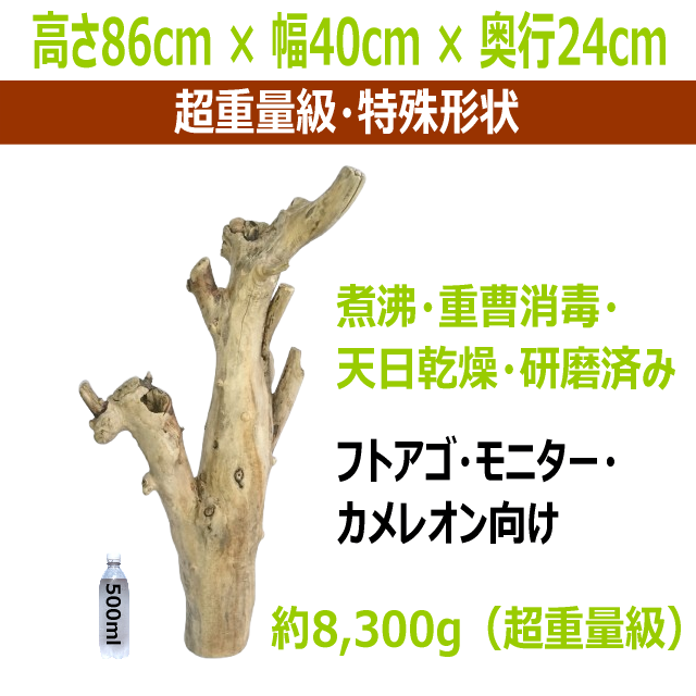 爬虫類レイアウト用の流木